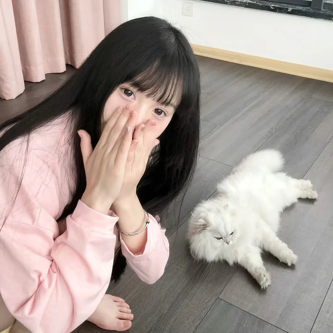 指定律师